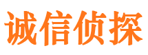 蒲江寻人公司